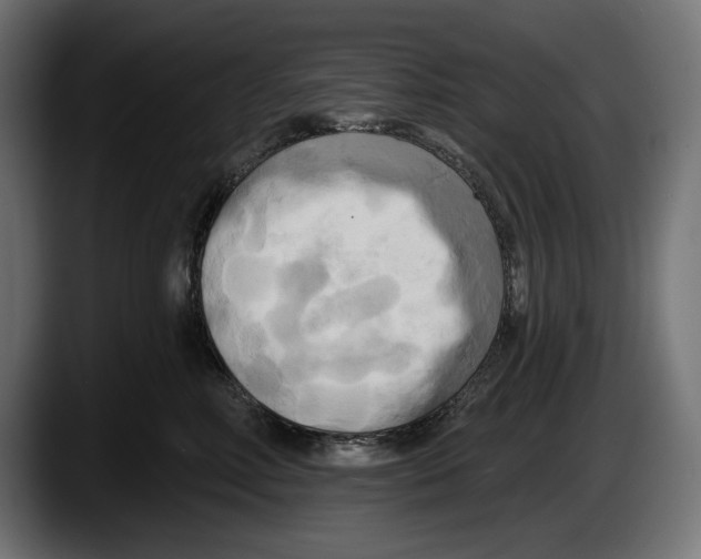 X0000087510618200705251620