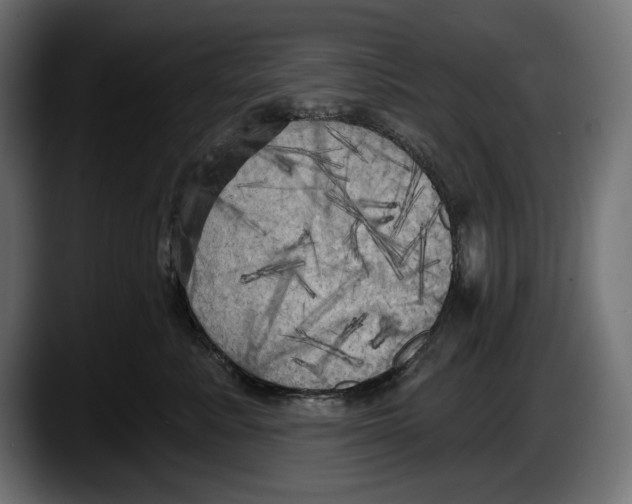 X0000087510619200705251620