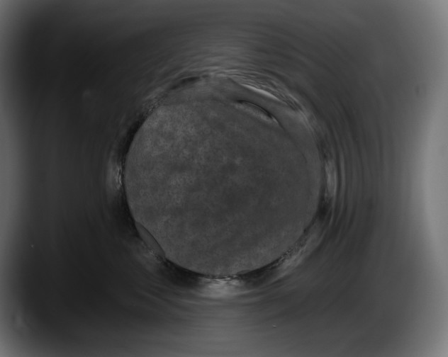 X0000087510621200705251620