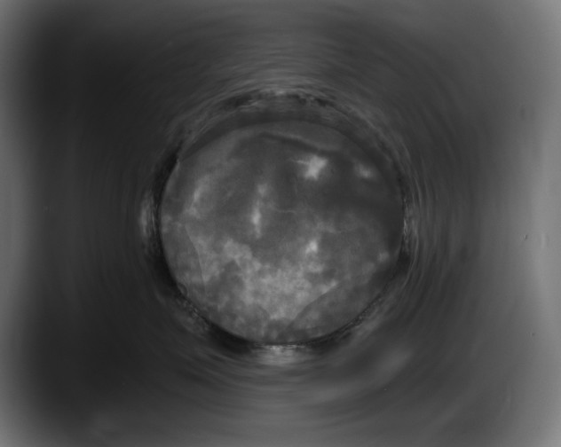 X0000087510623200705251620