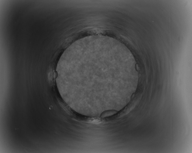 X0000087510624200705251620