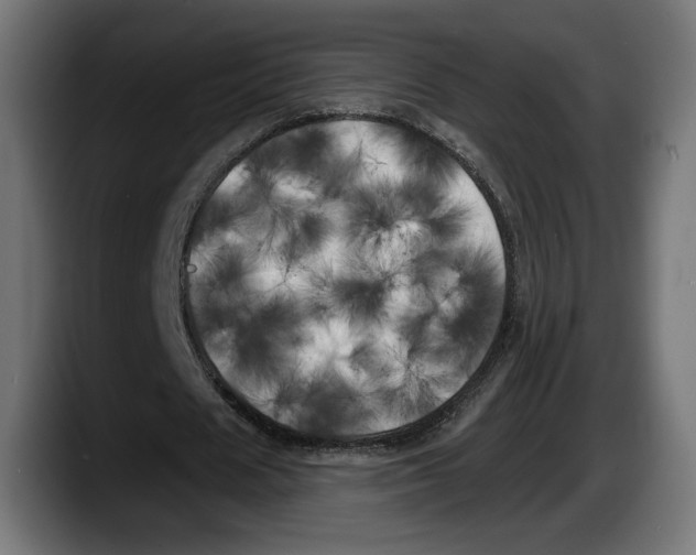 X0000087510625200705251619