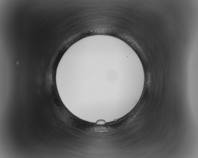 X0000087510636200705251620