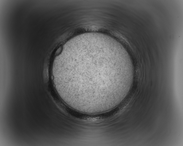 X0000087510638200705251620