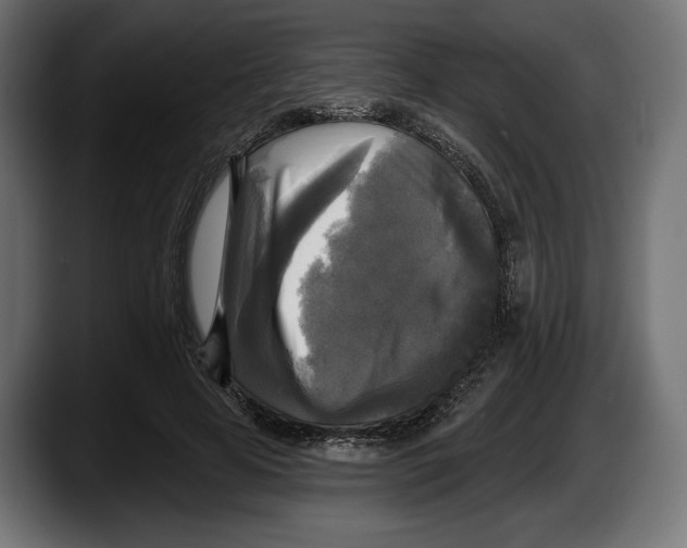 X0000087510641200705251620