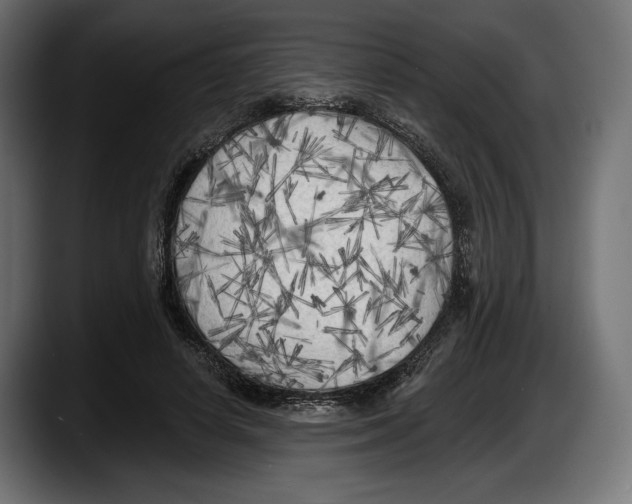 X0000087510642200705251620