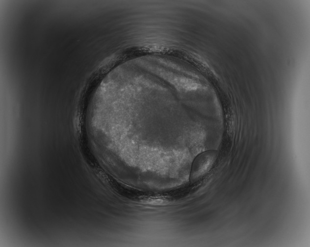 X0000087510643200705251620