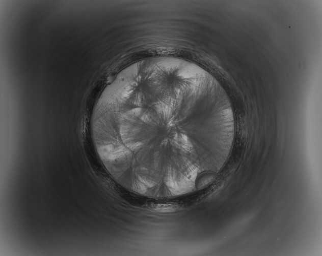 X0000087510645200705251620