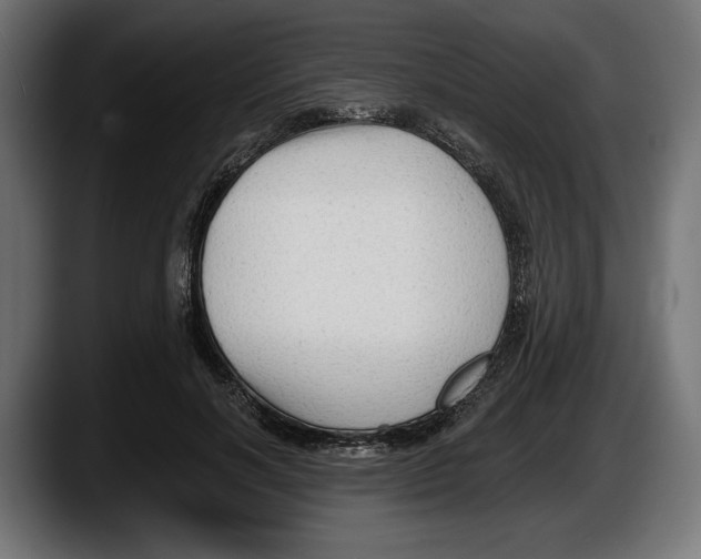 X0000087510646200705251620