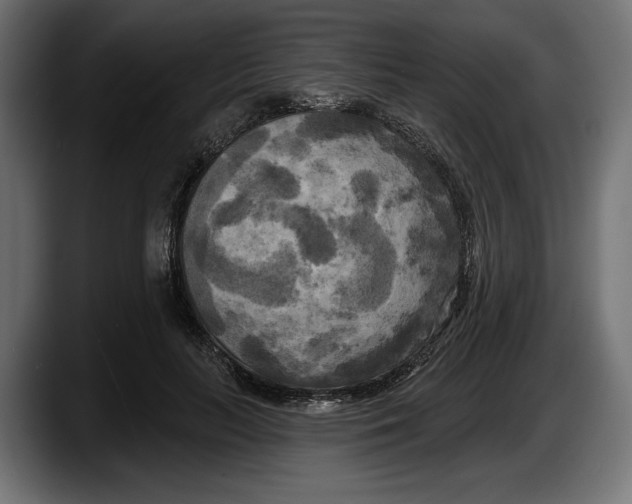 X0000087510647200705251620