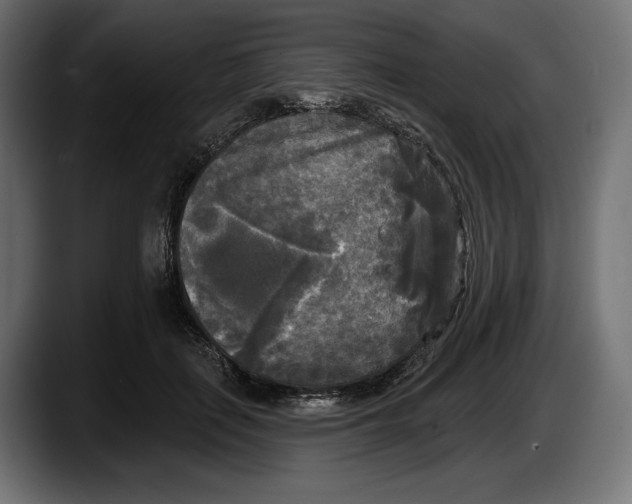 X0000087510651200705251620