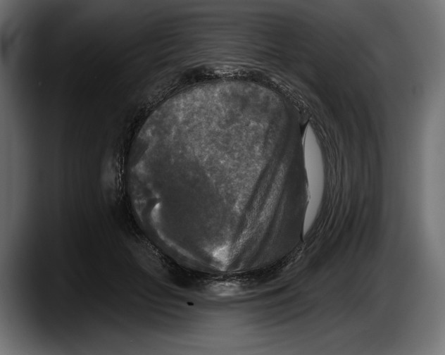 X0000087510653200705251620