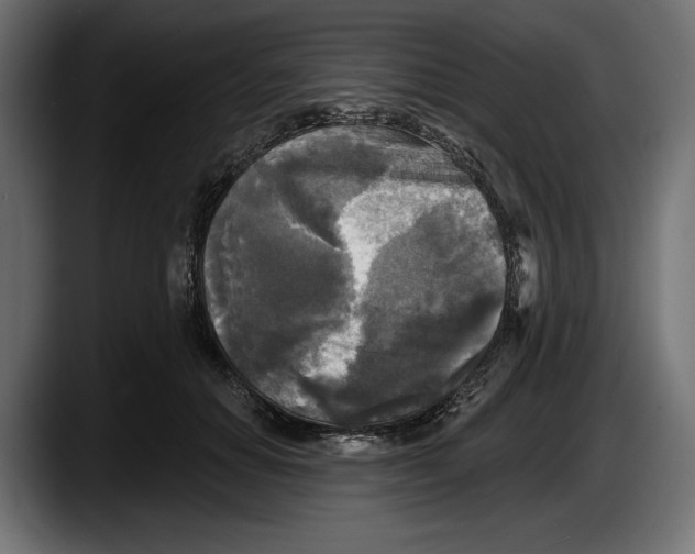 X0000087510654200705251620