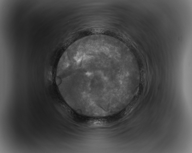 X0000087510655200705251620