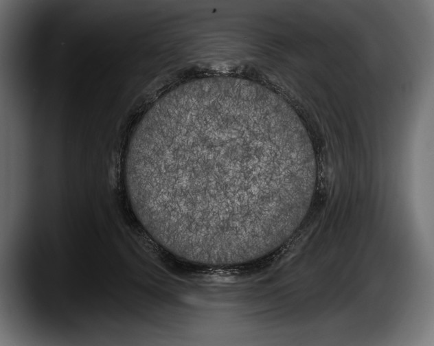 X0000087510656200705251620