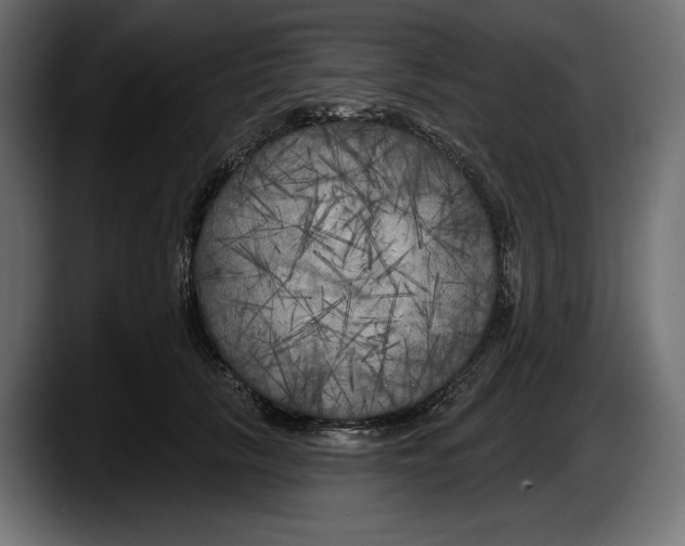 X0000087510657200705251620