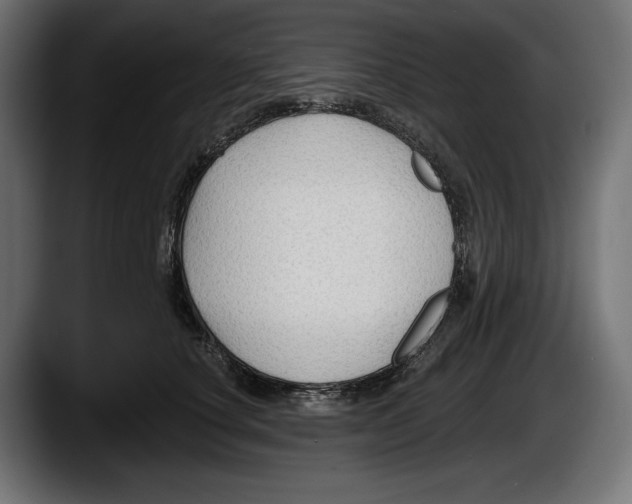 X0000087510660200705251620