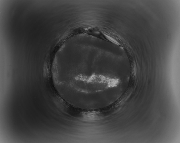 X0000087510661200705251620