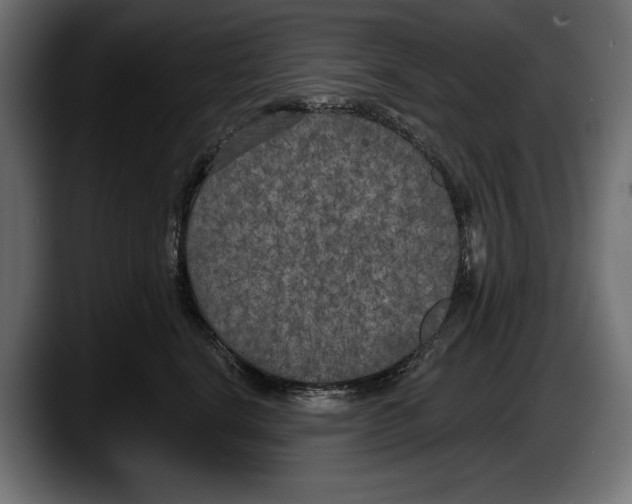 X0000087510664200705251620