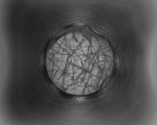 X0000087510665200705251620