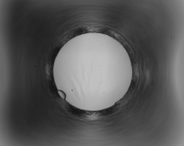 X0000087510667200705251620