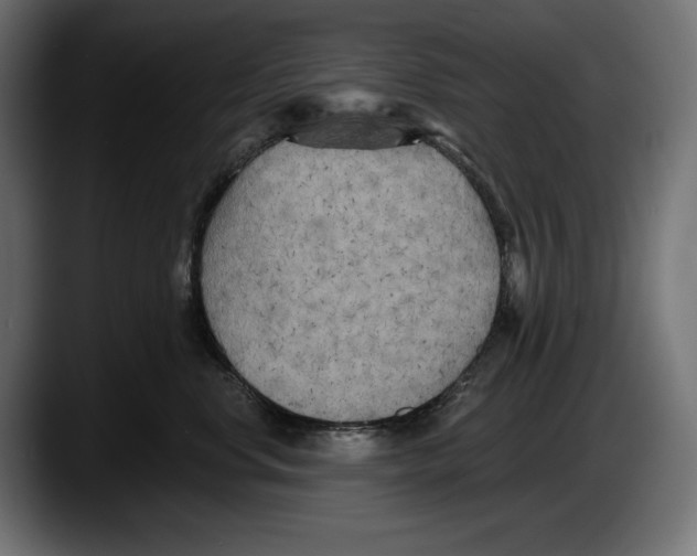 X0000087510668200705251620