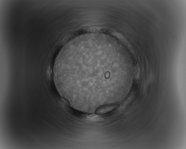 X0000087510669200705251620