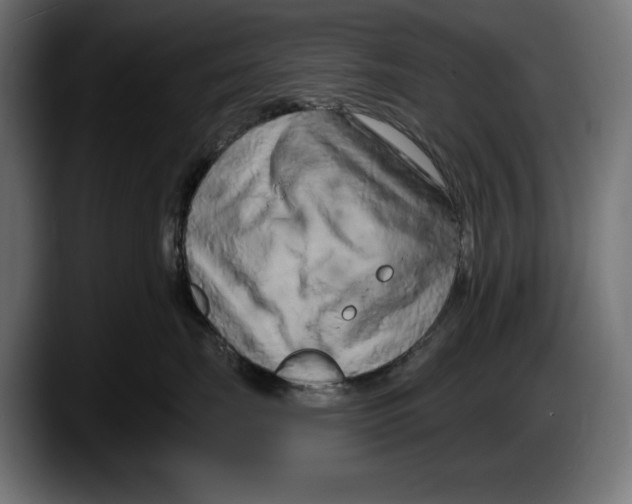 X0000087510671200705251620