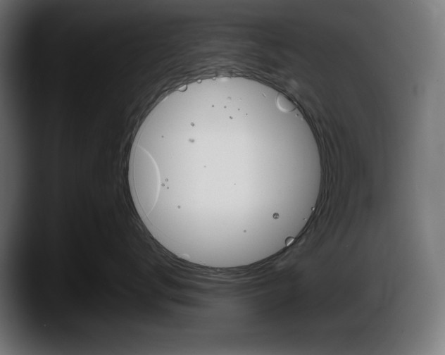 X0000087510672200705251620