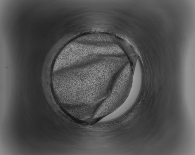 X0000087510673200705251619