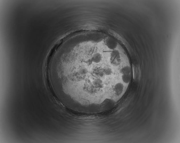 X0000087510675200705251619