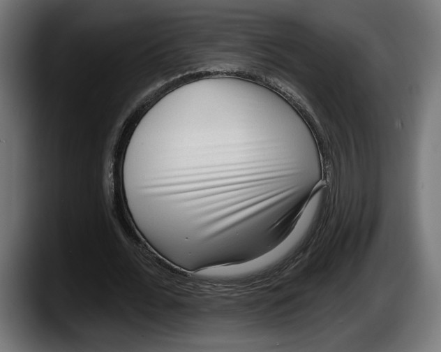 X0000087510676200705251619