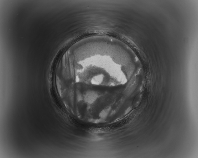 X0000087510679200705251619