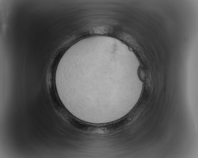 X0000087510683200705251619