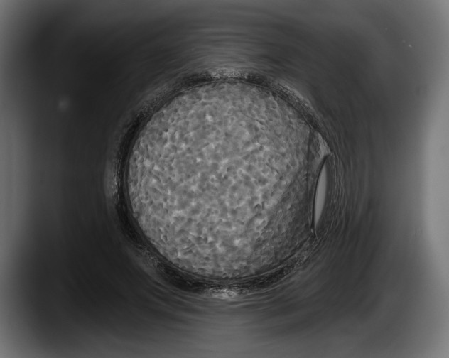 X0000087510687200705251619