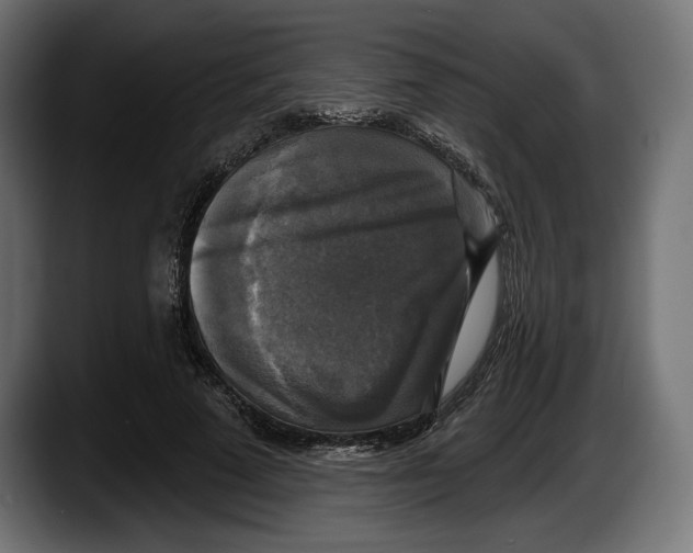 X0000087510689200705251619