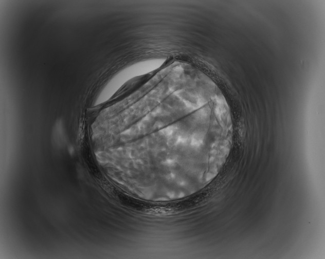 X0000087510691200705251619