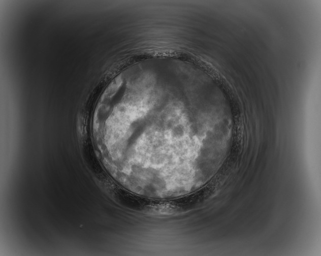 X0000087510695200705251619