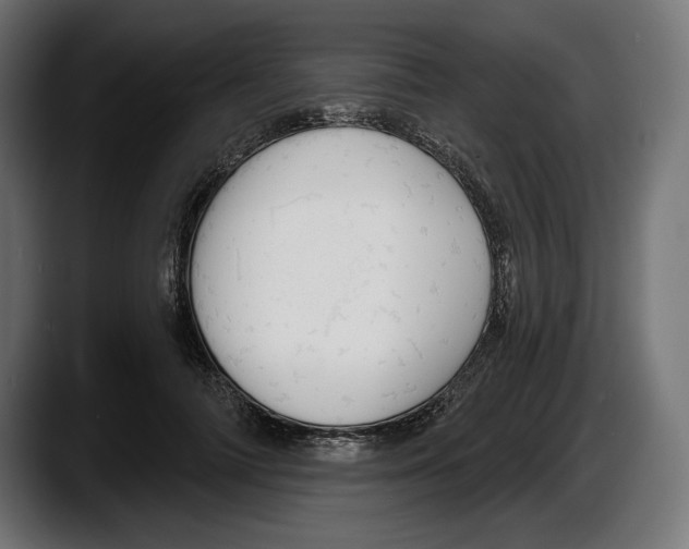 X0000087510698200705251619