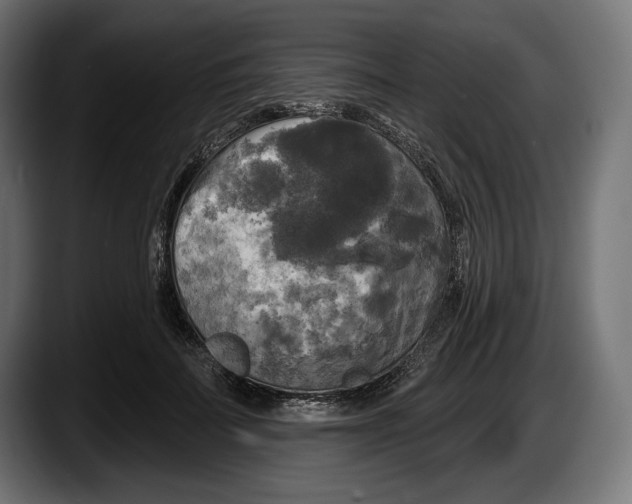 X0000087510699200705251619