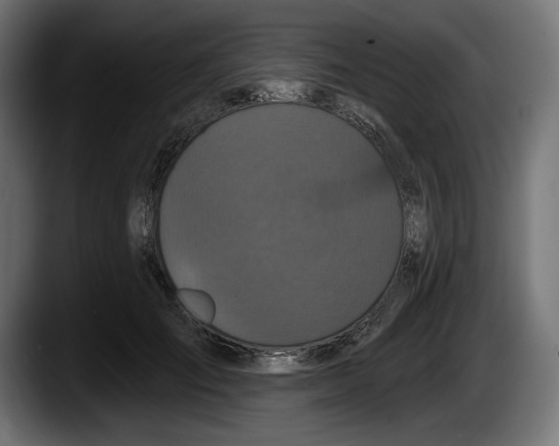 X0000087510701200705251619