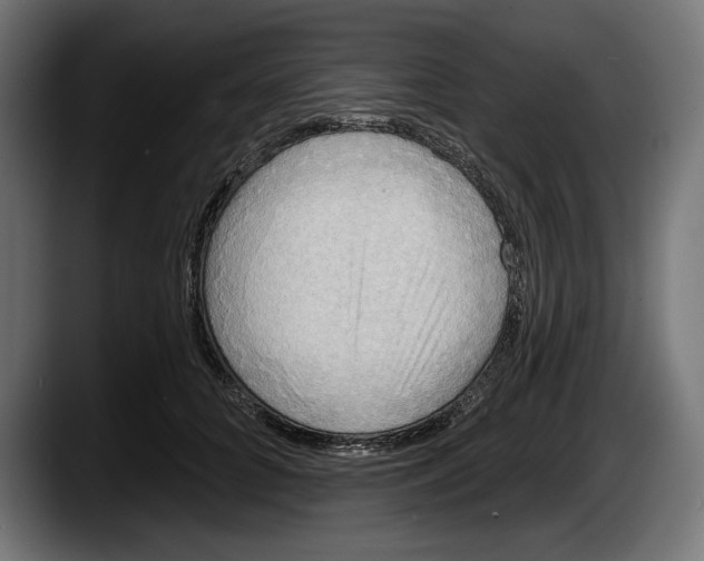 X0000087510704200705251619