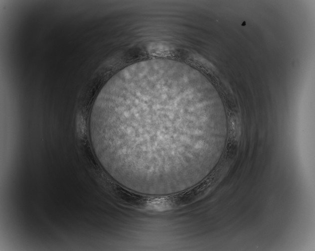 X0000087510705200705251619