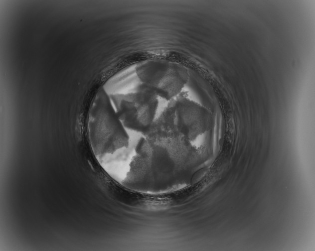 X0000087510707200705251619