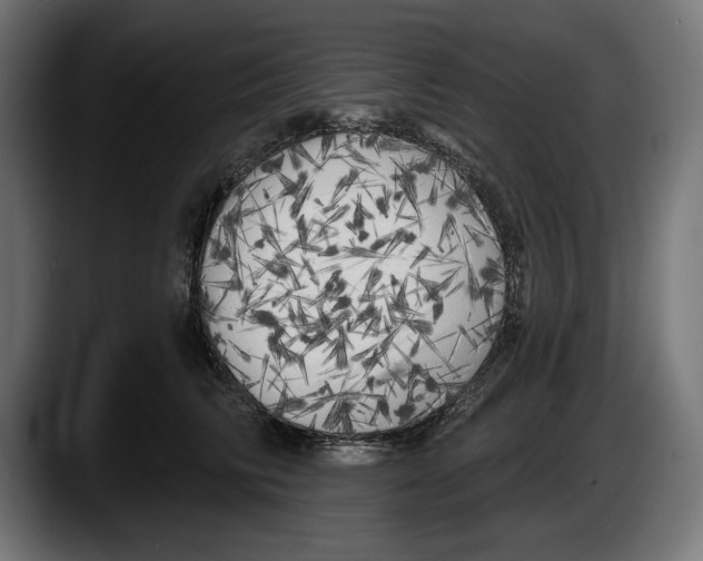 X0000087510710200705251619