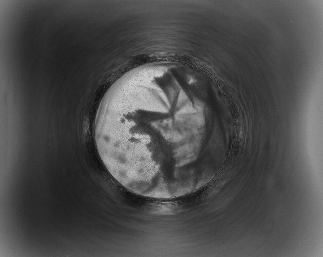 X0000087510711200705251619