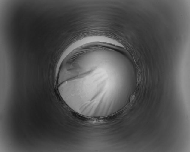 X0000087510712200705251619