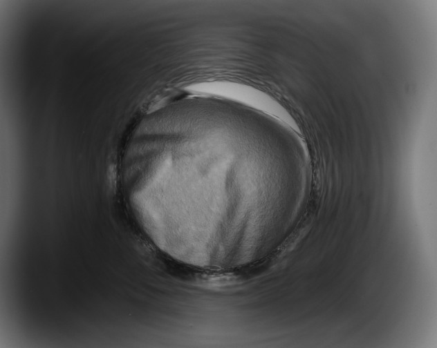 X0000087510716200705251619