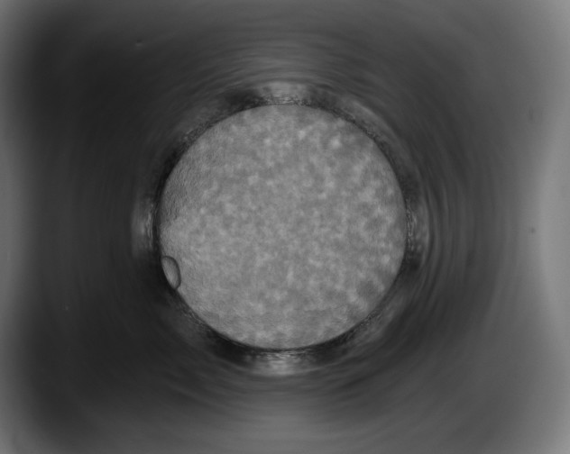 X0000087510717200705251619