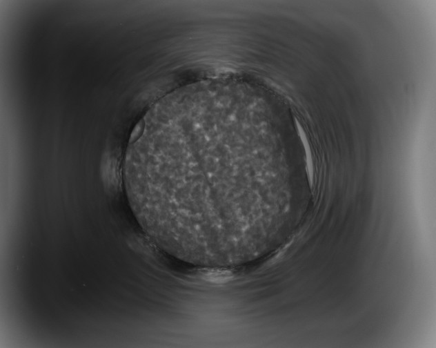 X0000087510719200705251619